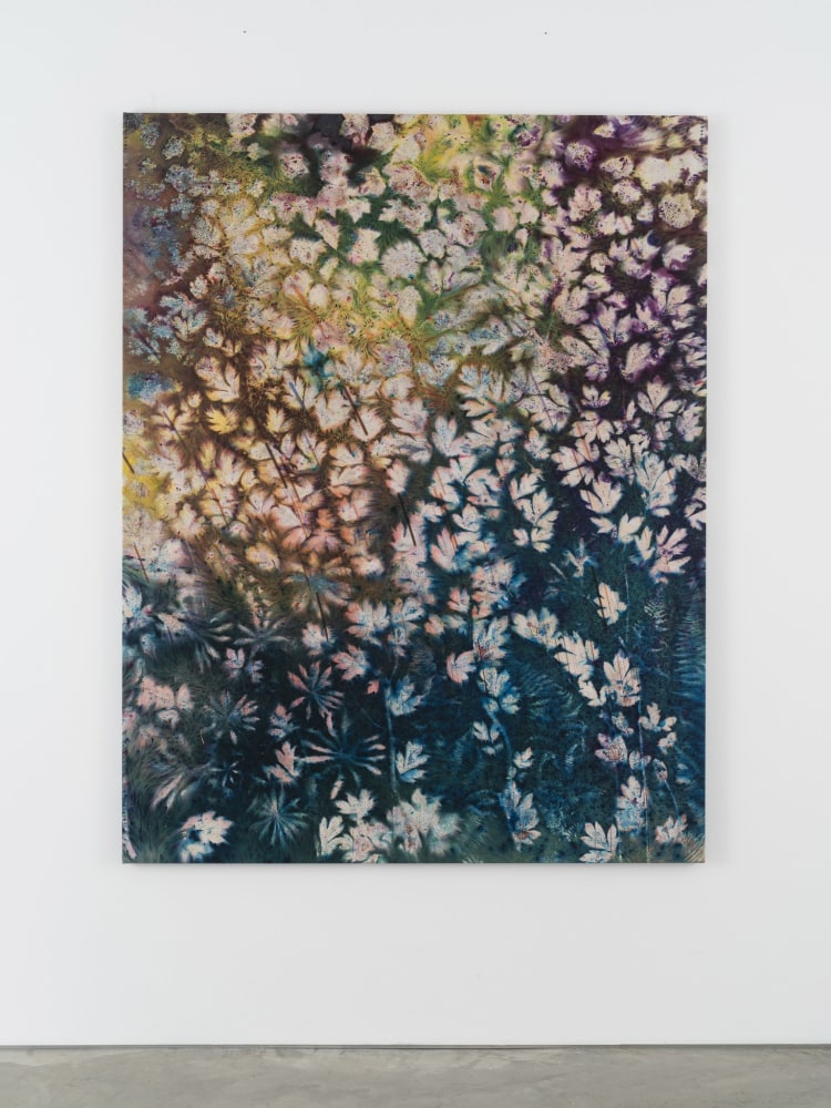 Sam Falls

Night Sky, Summer Ground

2021

Pigment on archival inkjet print on canvas

68 x 53 inches (172.7 x 134.6 cm)

SFA 440