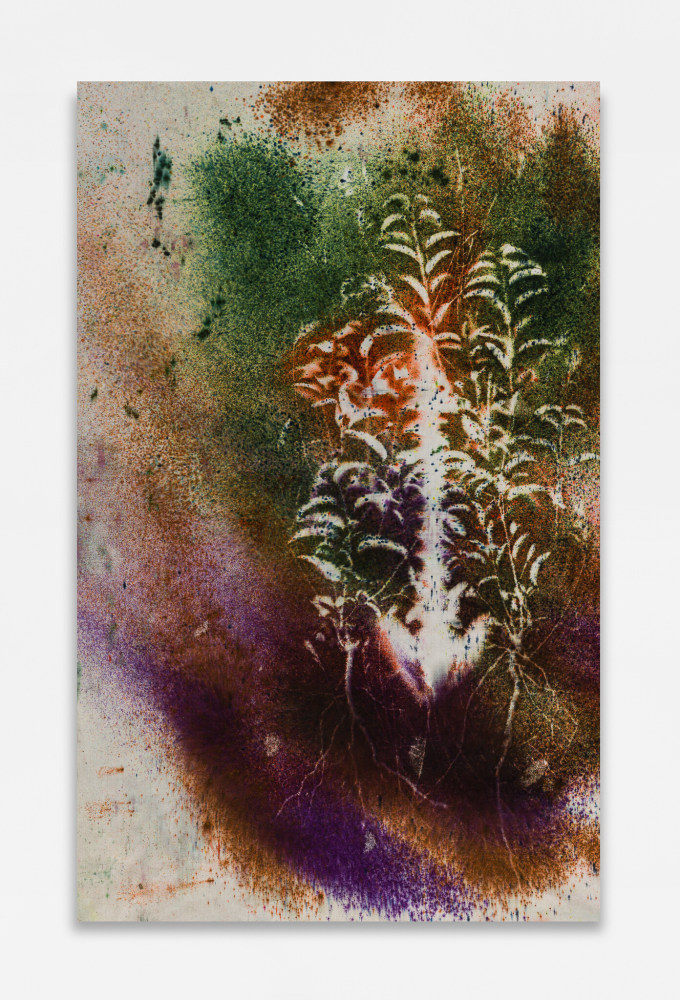 Sam Falls

Corpus II

2019

Pigment on canvas

49 3/4 x 24 inches (126.4 x 61 cm)

Signed, dated verso

SFA 301

&amp;nbsp;

INQUIRE