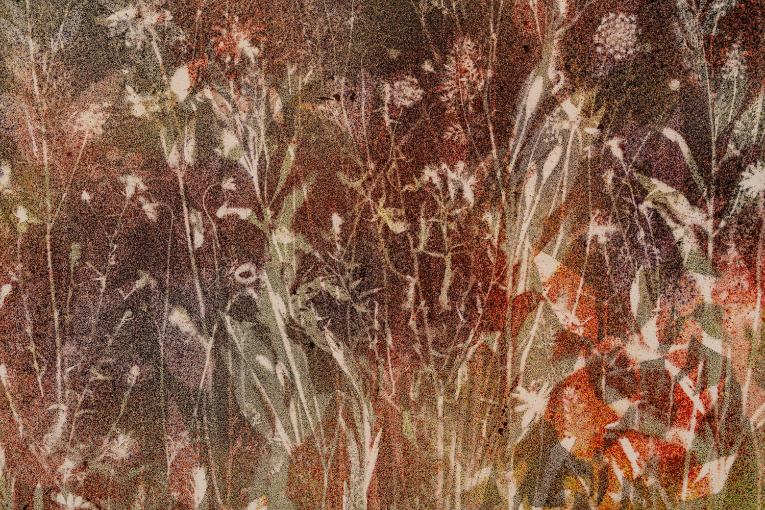 SAM FALLS
Northeast (wildflowers) 2
2022
Pigment on canvas
55 1/2 x 90 1/2 x 1 1/4 inches (141 x 229.9 x 3.2 cm)
SFA 501
$65,000