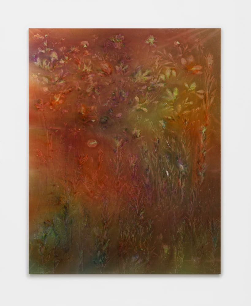 Sam Falls

Hold the World to its Word

2023

Pigment on canvas

90 x 70 inches (228.6 x 177.8 cm)

SFA 639

$75,000