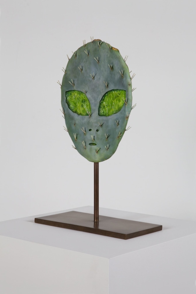 Matt Johnson

Alien Cactus

2015

Cast bronze with oil paint

18 1/2 x 12 x 5 3/4 inches (47 x 30.5 x 14.6 cm)

Edition&amp;nbsp;of 3, with 2 AP

MJ 117

$20,000

&amp;nbsp;

INQUIRE