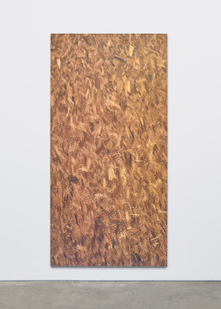 Jacob Kassay

Nude

2019

UV print on OSB on aluminum

95 x 48 inches (241.3 x 121.9 cm)

JK 613

&amp;nbsp;

INQUIRE