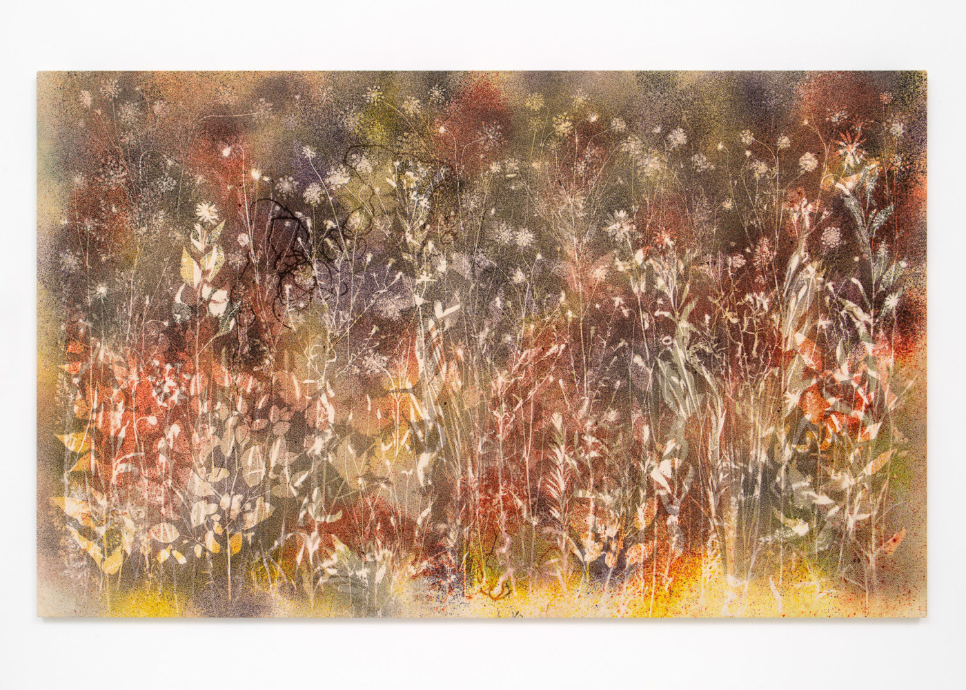 SAM FALLS
Northeast (wildflowers) 2
2022
Pigment on canvas
55 1/2 x 90 1/2 x 1 1/4 inches (141 x 229.9 x 3.2 cm)
SFA 501
$65,000