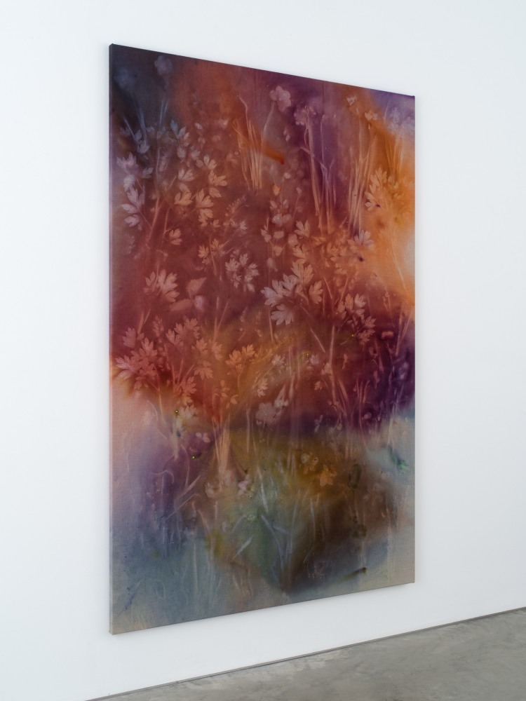 Sam Falls

Bleeding Heart

2021

Pigment on canvas

79 x 51 1/2 inches (200.7 x 130.8 cm)

SFA 437







