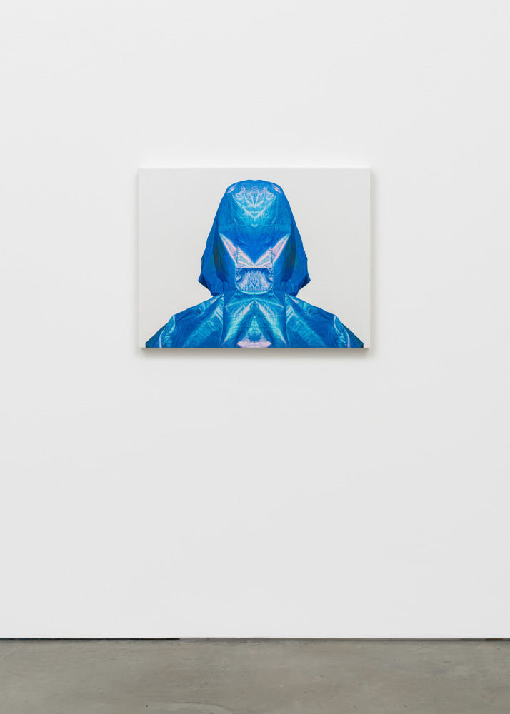 Karel Funk

Untitled #110

2023

Acrylic on panel

27 x 34 3/4 inches (68.6 x 88.3 cm)

Signed, dated, titled verso

KF 135

$70,000