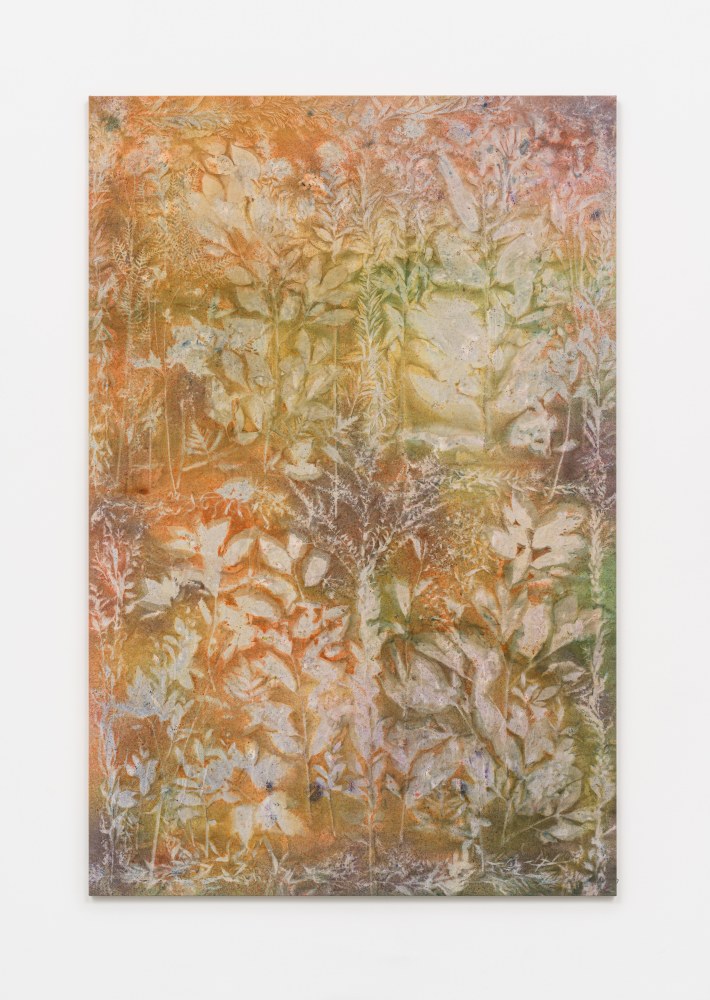 Sam Falls

Valley Window

2023

Pigment on canvas

88 x 58 inches (223.5 x 147.3 cm)

SFA 561

$75,000