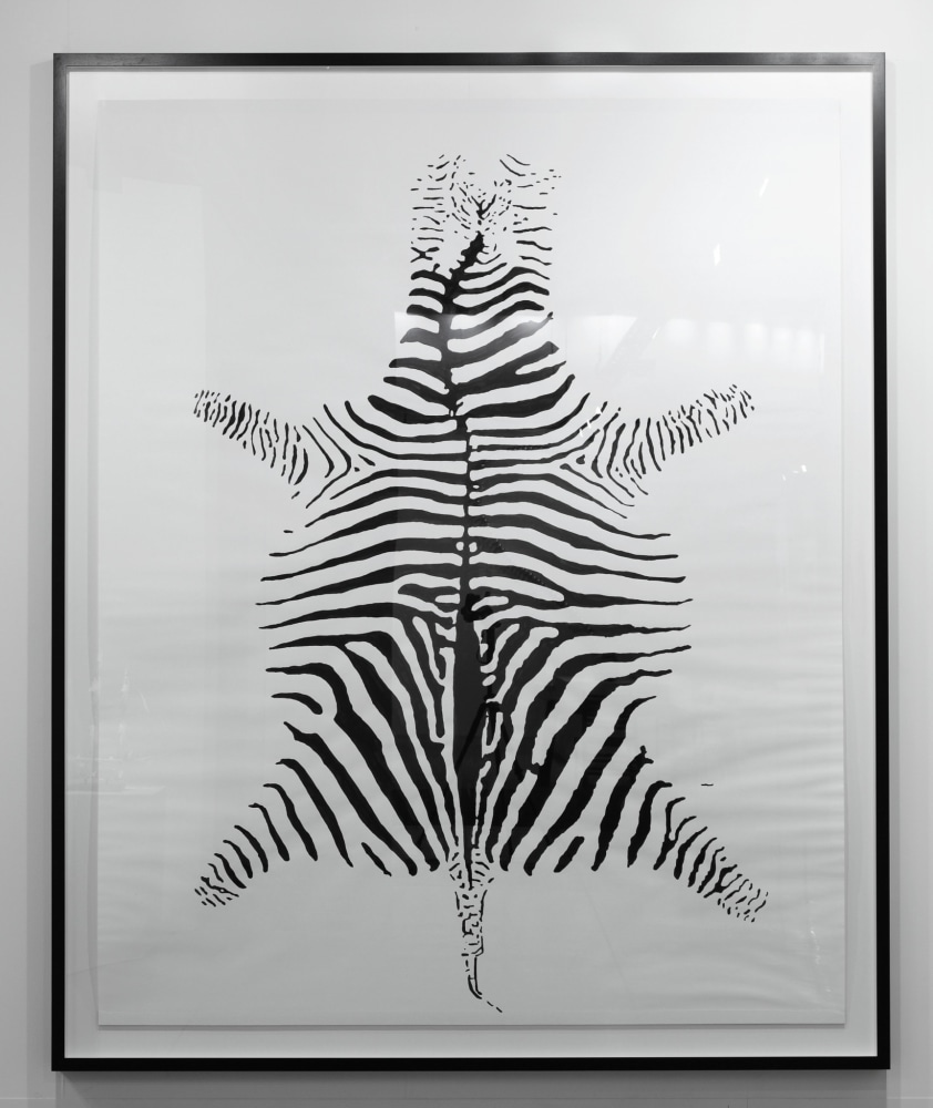 Hans-Peter Feldmann

Zebra

Ink on paper

107 x 86 inches (271.8 x 218.4 cm)&amp;nbsp;

118 x 96 inches (299.7 x 243.8 cm) framed

HPF 096

&amp;nbsp;

INQUIRE