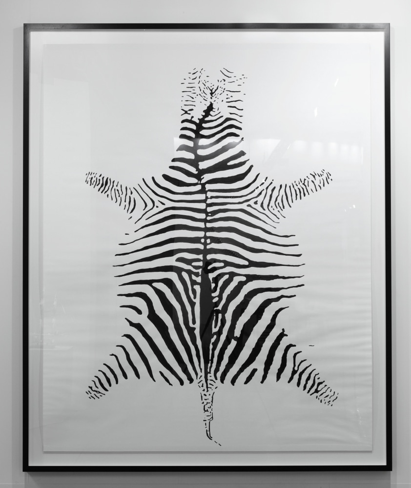 Hans-Peter Feldmann

Zebra

Ink on paper

107 x 86 inches (271.8 x 218.4 cm)&amp;nbsp;

118 x 96 inches (299.7 x 243.8 cm) framed

HPF 096

&amp;nbsp;

INQUIRE