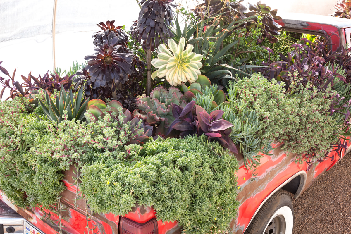 Sam Falls,&amp;nbsp;Untitled (Life in California), 2014

1984 Ford Ranger, soil, succelents,&amp;nbsp;66 x 63 x 191 inches.

Courtesy of the artist and Ballroom Marfa. Photo: Fredrik Nilsen.

&amp;nbsp;

INQUIRE