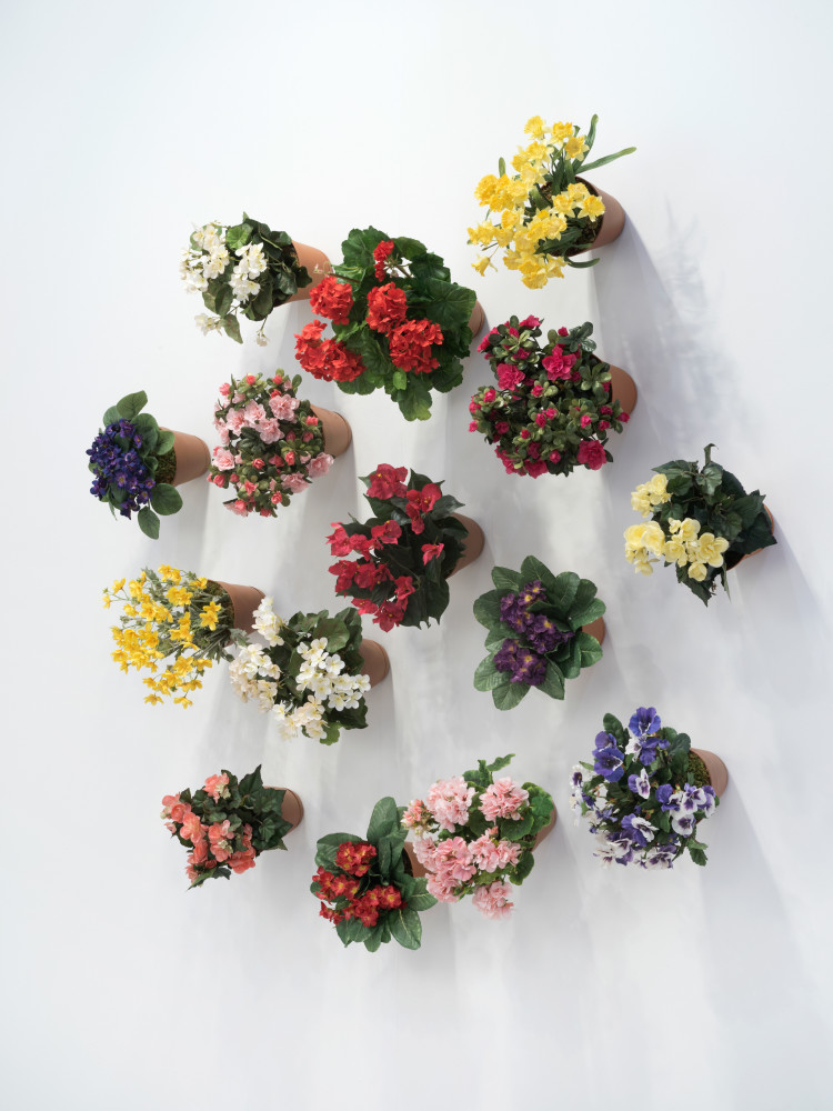 Hans-Peter Feldmann

Flower Pot

Mixed media

Dimensions variable

15 flower pots

HPF 197

&amp;nbsp;

INQUIRE