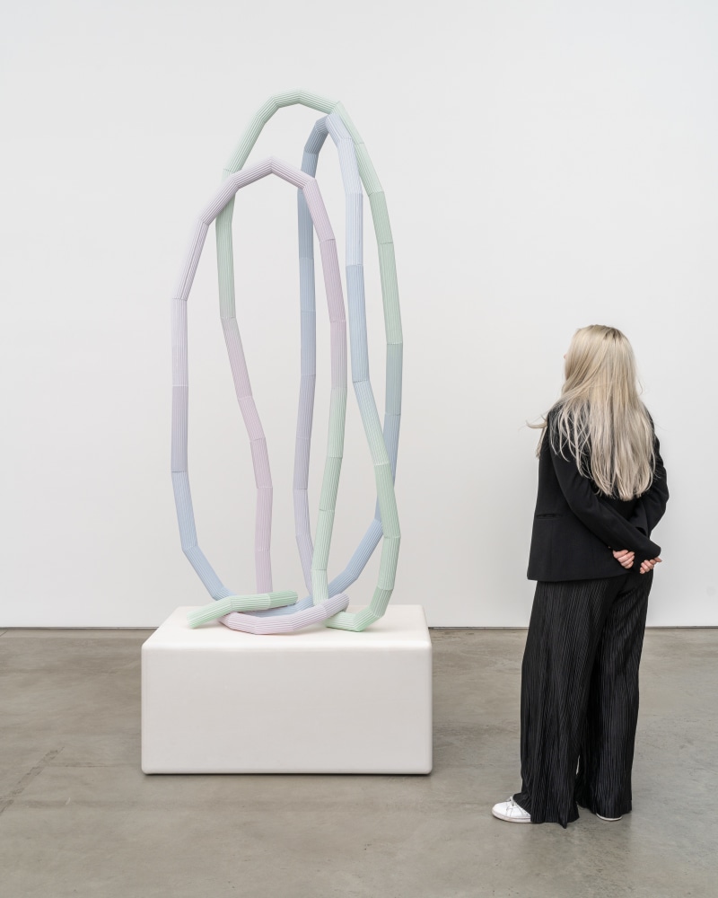 Eva Rothschild

Sweet Spot

2023

Resin plaster, gesso, paint

Overall: 106 3/8 x 43 1/4 x 43 1/2 inches (270 x 110 x 110 cm)

Sculpture: 86 5/8 x 43 1/4 x 35 3/8 inches (220 x 110 x 90 cm)

Plinth: 19 3/4 x 29 1/2 x 43 1/2 inches (50 x 75 x 110 cm)

ER 272

&amp;pound;85,000