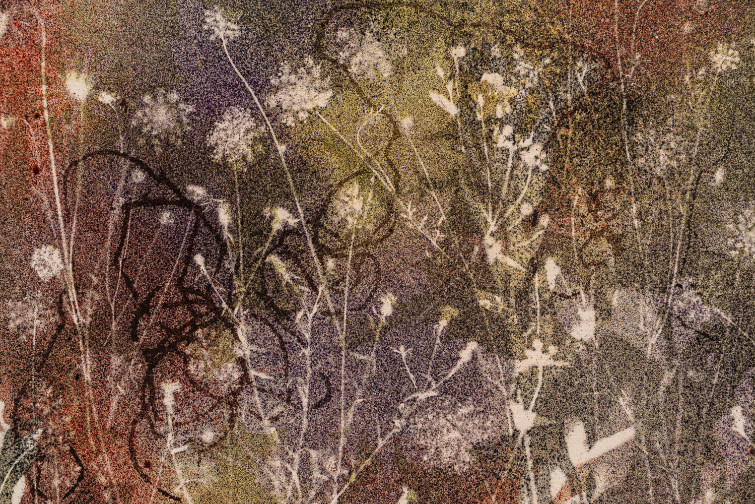 SAM FALLS
Northeast (wildflowers) 2
2022
Pigment on canvas
55 1/2 x 90 1/2 x 1 1/4 inches (141 x 229.9 x 3.2 cm)
SFA 501
$65,000