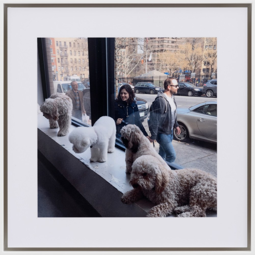 Stephen Shore

Dog Room Club, New York, New York, March 23, 2016

2016 (printed 2020)

Dye sublimation print&amp;nbsp;on aluminum

6 x 6 inches (15.2 x 15.2 cm)

8 x 8 inches (20.3 x 20.3 cm) print

8 1/2 x 8 1/2 inches (21.6 x 21.6 cm) framed

Unique

SS 3246

&amp;nbsp;

INQUIRE