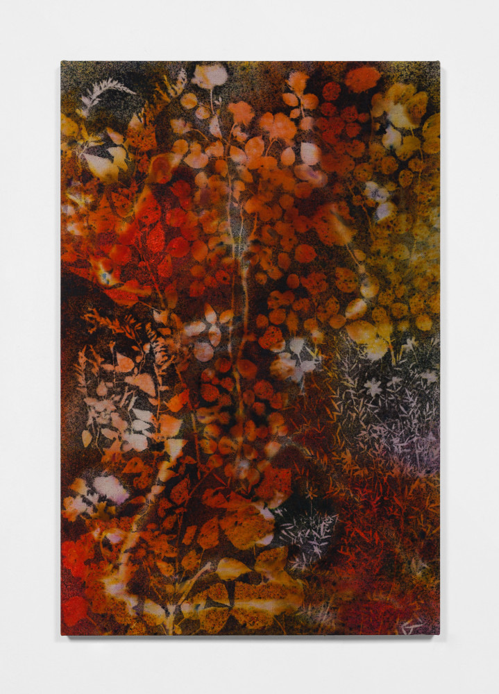 Sam Falls

Midnight Garden (Jnana)

2020

Pigment on canvas

47 x 31 inches (119.4 x 78.7 cm)

Signed and dated verso

SFA 361