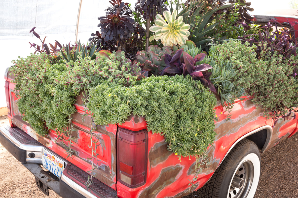 Sam Falls,&amp;nbsp;Untitled (Life in California), 2014

1984 Ford Ranger, soil, succelents,&amp;nbsp;66 x 63 x 191 inches.

Courtesy of the artist and Ballroom Marfa. Photo: Fredrik Nilsen.

&amp;nbsp;

INQUIRE