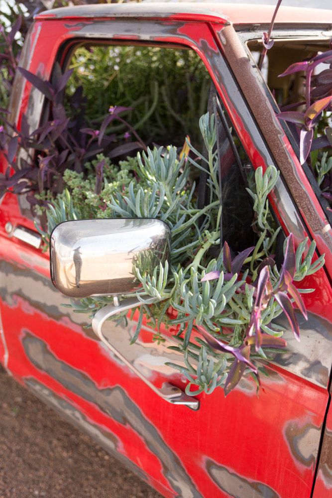 Sam Falls,&amp;nbsp;Untitled (Life in California), 2014

1984 Ford Ranger, soil, succelents,&amp;nbsp;66 x 63 x 191 inches.

Courtesy of the artist and Ballroom Marfa. Photo: Fredrik Nilsen.

&amp;nbsp;

INQUIRE