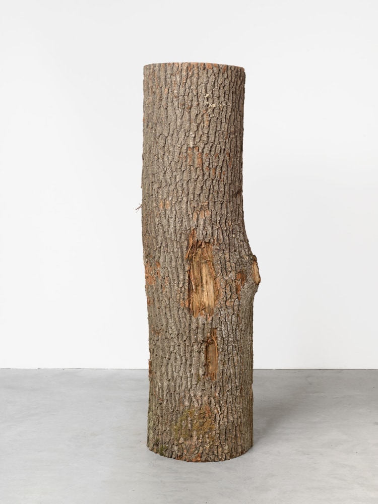Alicja Kwade

awalkingstickisawalkingstickisawalkingstick

2018

Wood

72 3/4 x 24 x 19 inches (184.8 x 61 x 48.3 cm)

Unique

AKW 596

&amp;nbsp;

INQUIRE