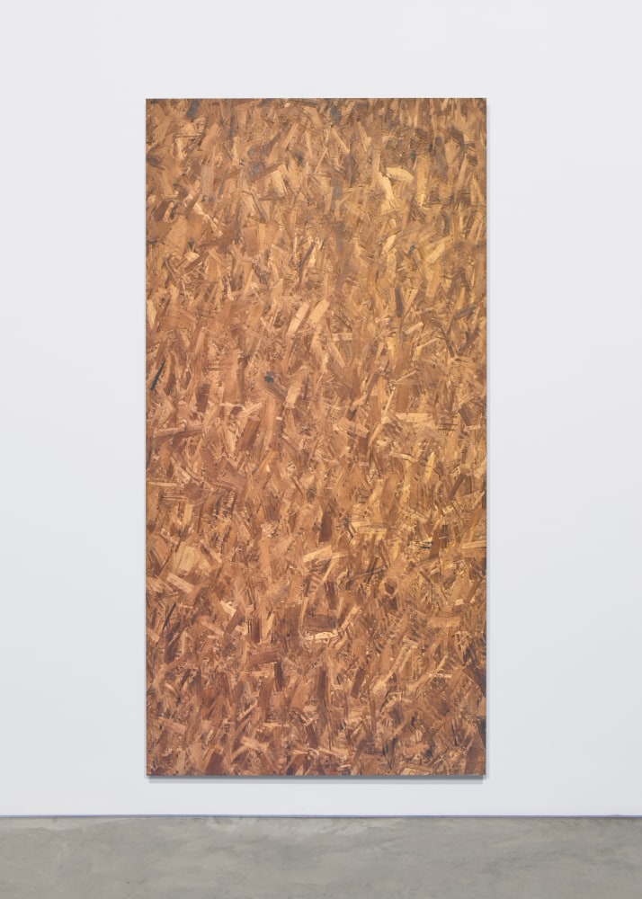 Jacob Kassay

Descending

2019

UV print on OSB on aluminum

95 x 48 inches (241.3 x 121.9 cm)

JK 610

&amp;nbsp;

INQUIRE