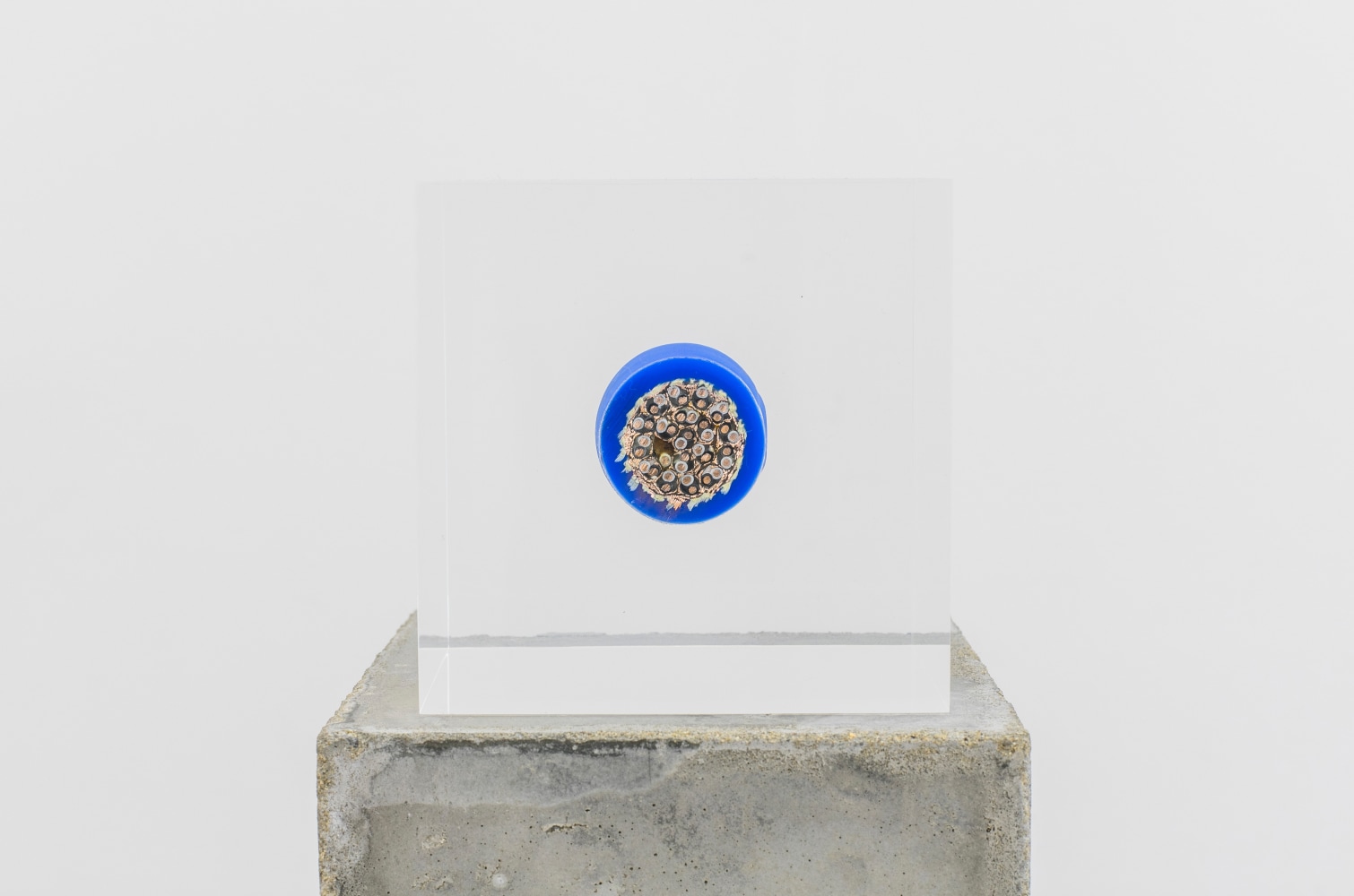 Nina Canell

Brief Syllable (Oceanic)

2016

Subterranean signalling cable, acrylic, concrete

4 x 4 x 4 inches (10 x 10 x 10 cm)

39 3/8 x 5 1/8 x 5 1/8 inches (100 x 13 x 13 cm) pedestal

43 3/8 x 5 1/8 x 5 1/8 inches (110 x 13 x 13 cm) overall

NC 131

&amp;nbsp;

INQUIRE