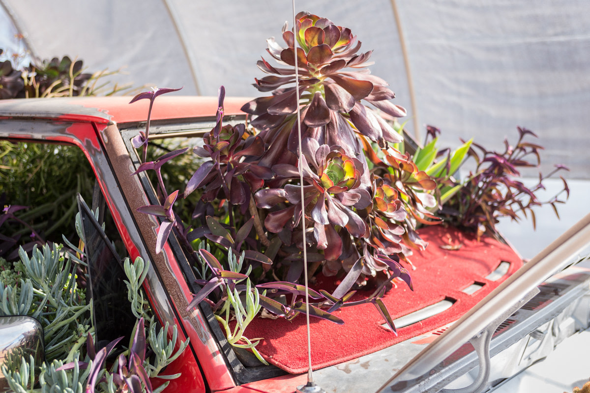 Sam Falls,&amp;nbsp;Untitled (Life in California), 2014

1984 Ford Ranger, soil, succelents,&amp;nbsp;66 x 63 x 191 inches.

Courtesy of the artist and Ballroom Marfa. Photo: Fredrik Nilsen.

&amp;nbsp;

INQUIRE