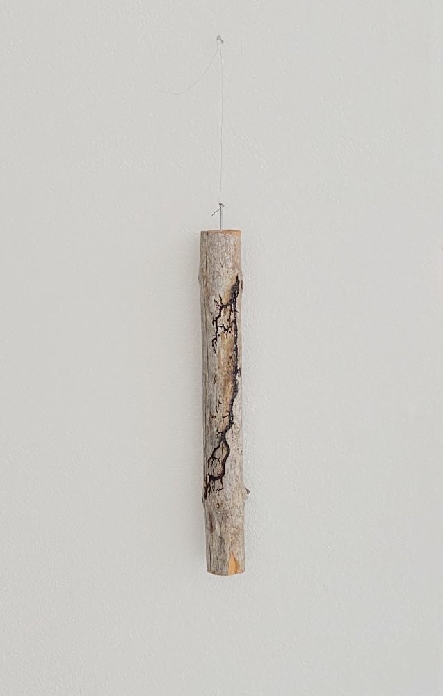 Nina Canell

Halfway Between Opposite Ends

2020

Saline, branch, 5000 volts

9 1/2 x 1 1/8 x 1 1/8 inches (24 x 3 x 3 cm)

NC 133

&amp;nbsp;

INQUIRE