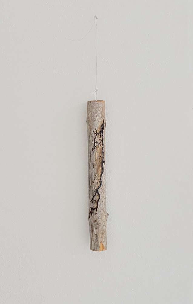 Nina Canell

Halfway Between Opposite Ends

2020

Saline, branch, 5000 volts

9 1/2 x 1 1/8 x 1 1/8 inches (24 x 3 x 3 cm)

NC 133

&amp;nbsp;

INQUIRE