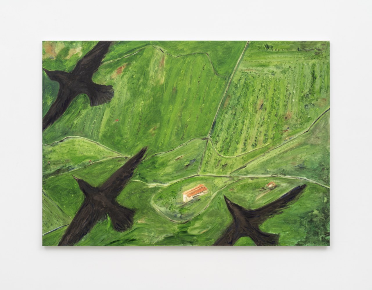 Tanya Merrill

Crows over Italian landscape

2023

Oil and graphite on linen

60 x 84 inches (152.4 x 213.4 cm)

Signed, dated verso

TME 163

$55,000