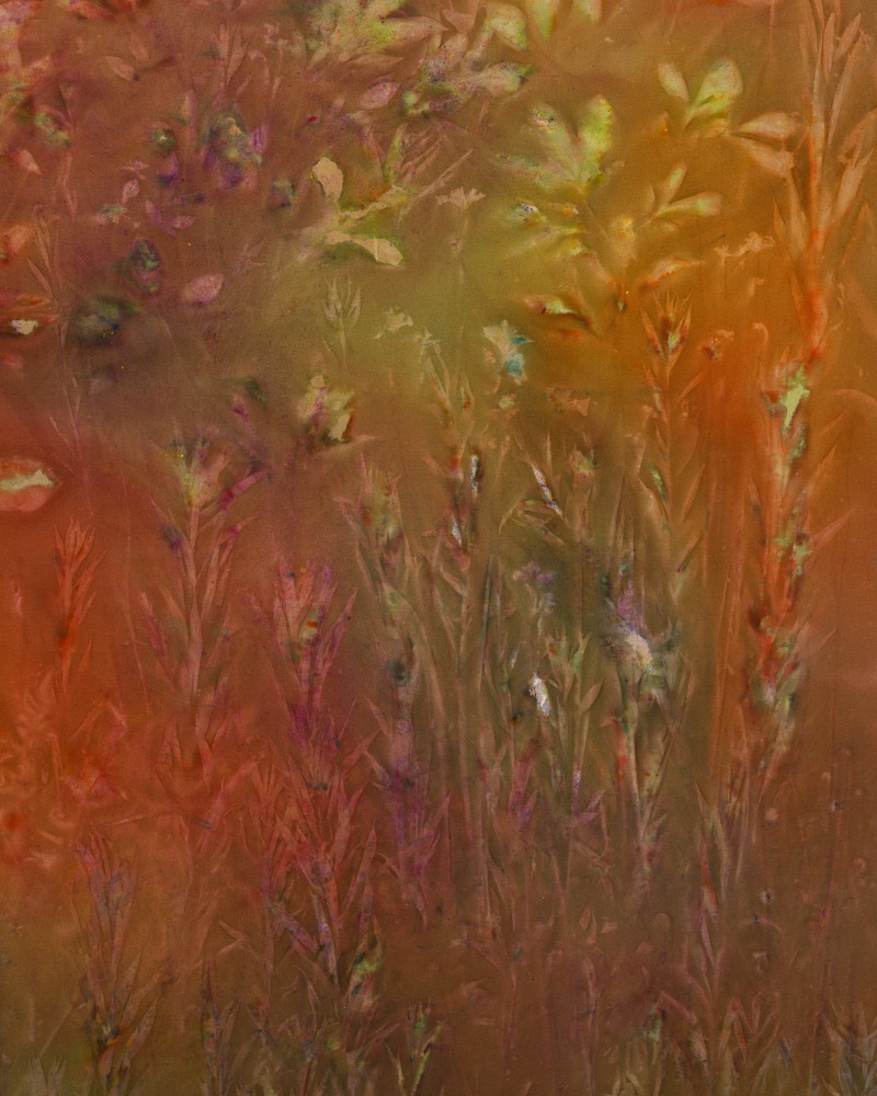Sam Falls

Hold the World to its Word

2023

Pigment on canvas

90 x 70 inches (228.6 x 177.8 cm)

SFA 639

$75,000