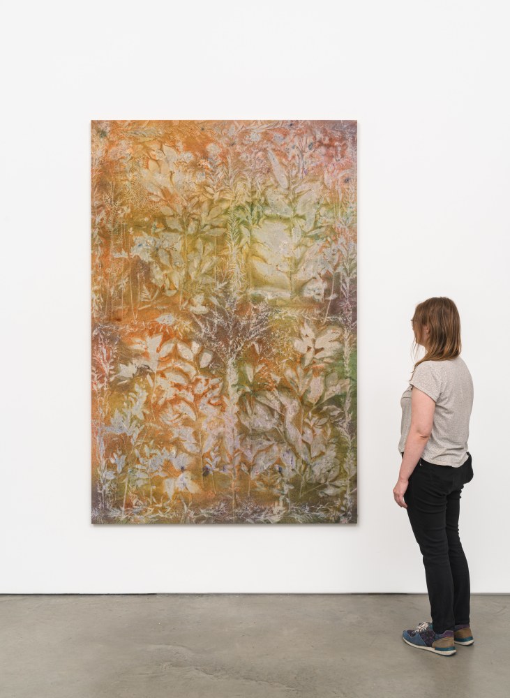 Sam Falls

Valley Window

2023

Pigment on canvas

88 x 58 inches (223.5 x 147.3 cm)

SFA 561

$75,000