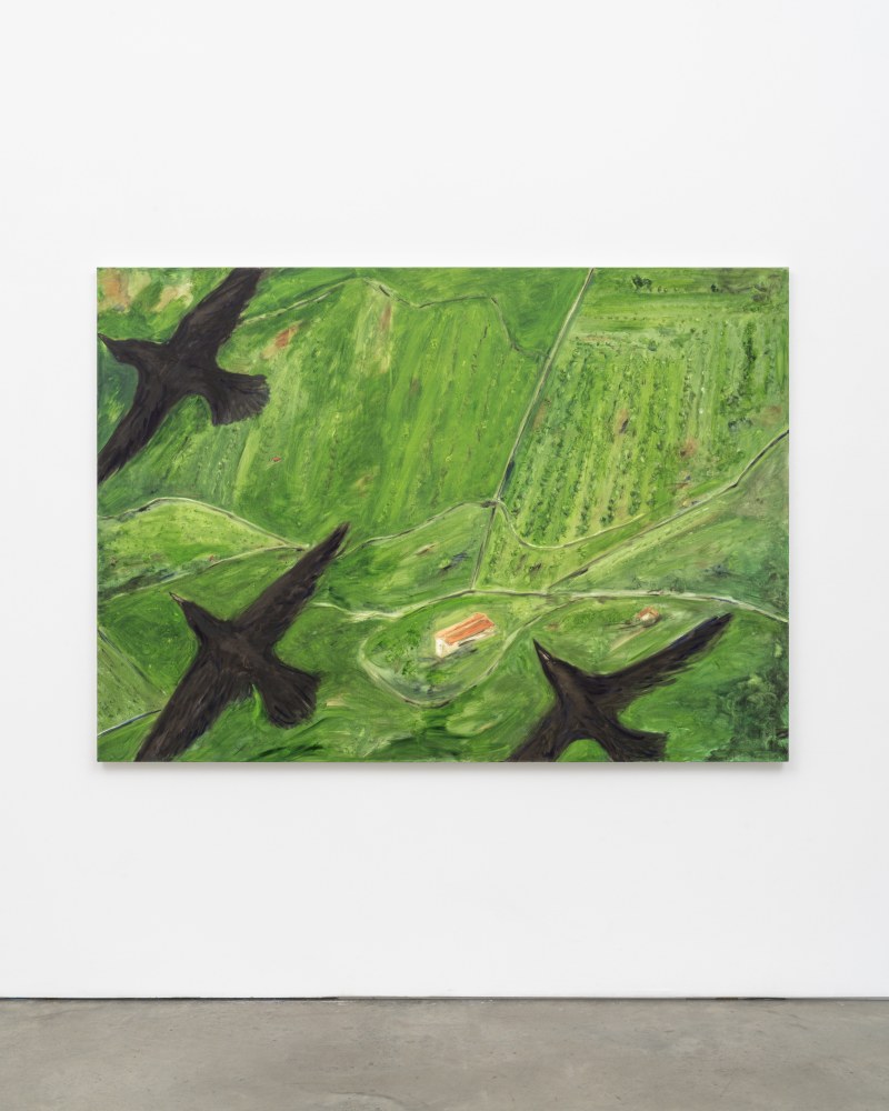 Tanya Merrill

Crows over Italian landscape

2023

Oil and graphite on linen

60 x 84 inches (152.4 x 213.4 cm)

Signed, dated verso

TME 163

$55,000