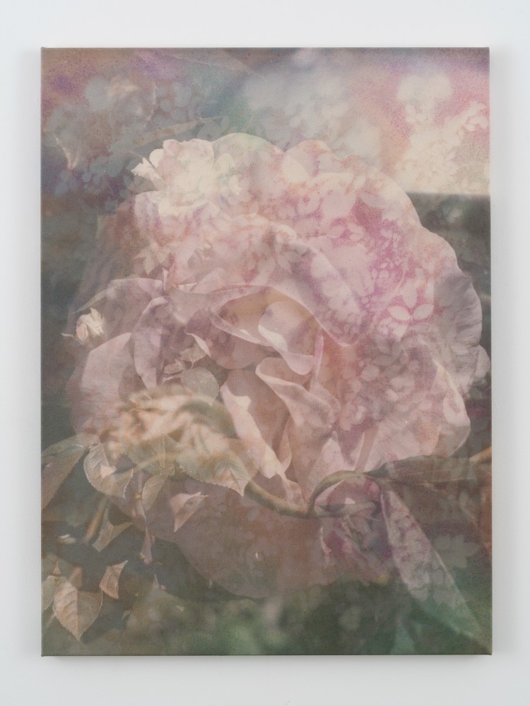 Sam Falls

Roses (Departure)

2021

Pigment on archival inkjet print on canvas

42 x 31 inches (106.7 x 78.7 cm)

SFA 427