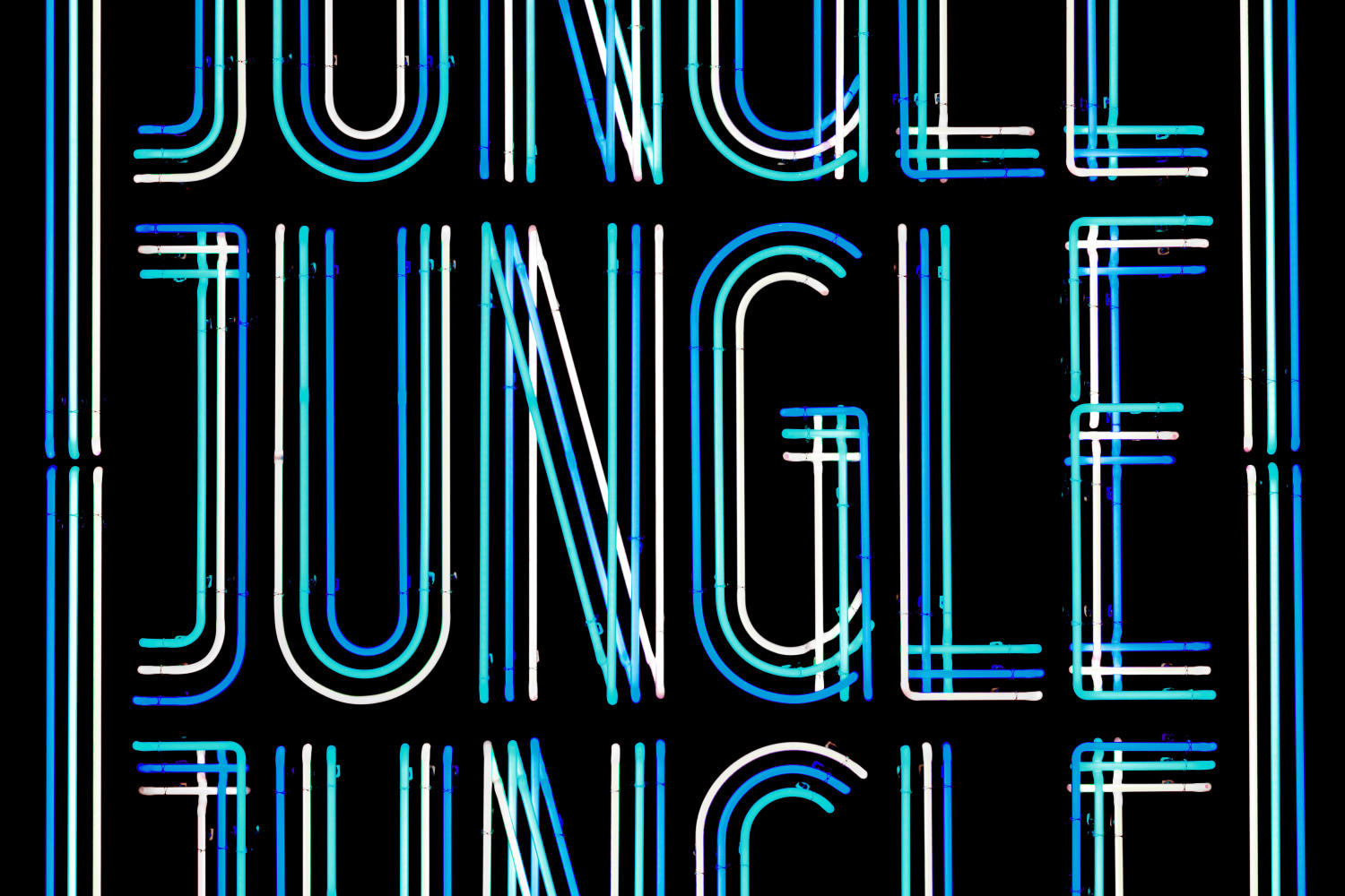 Doug Aitken

Jungle

2018

Neon, wood

96 x 72 x 8 inches (243.8 x 182.9 x 20.3 cm)

Edition&amp;nbsp;of 4, with 2 AP

DA 582

&amp;nbsp;

INQUIRE