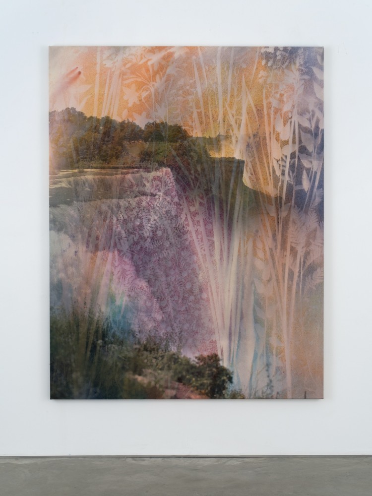 Sam Falls

Niagara Falls, Water&amp;rsquo;s Edge

2021

Pigment on archival inkjet print on canvas

68 x 53 inches (172.7 x 134.6 cm)

SFA 439





