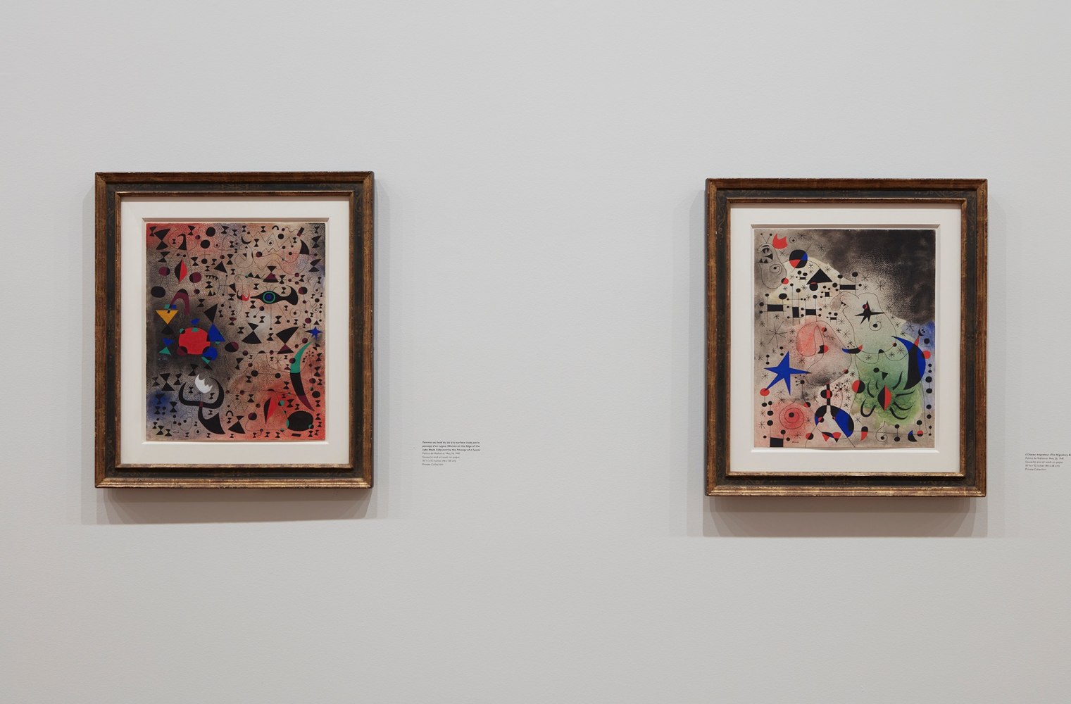 Calder | Miró Constellations