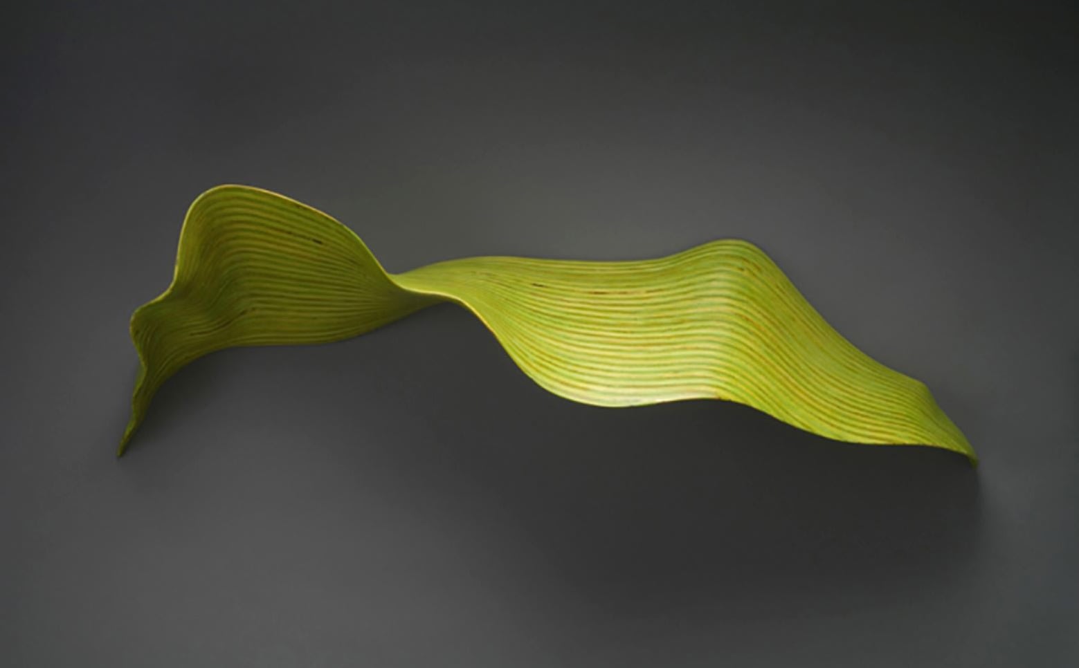 Nancy SANSOM REYNOLDS, Spring Green Leaf, stained pine, 14 x 38 x 8 inches