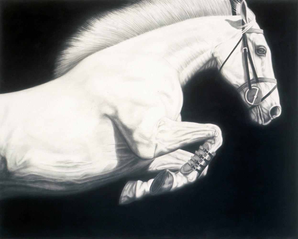 02_PICCILLO-Joseph_Horse No13_charcoal and graphite on canvas_48x60_Ws