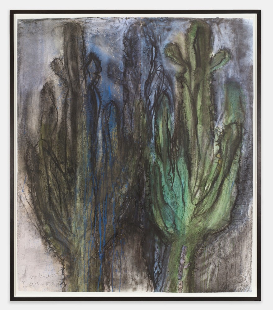 Tucson, Winter 1947, 2014
Charcoal, pastel and watercolor on paper
62 &amp;times; 53 1/4 inches
(157.5 &amp;times; 135.3 cm)