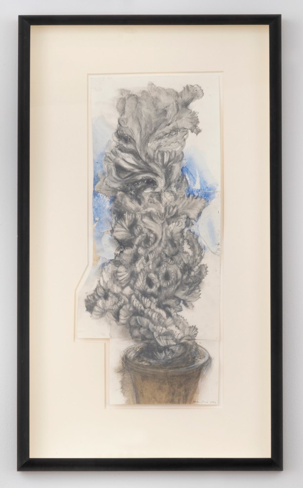 Euphorbia No. 1, 1992
Watercolor and pencil on paper
27 7/8 &amp;times; 12 1/8 inches
(70.8 &amp;times; 31 cm)