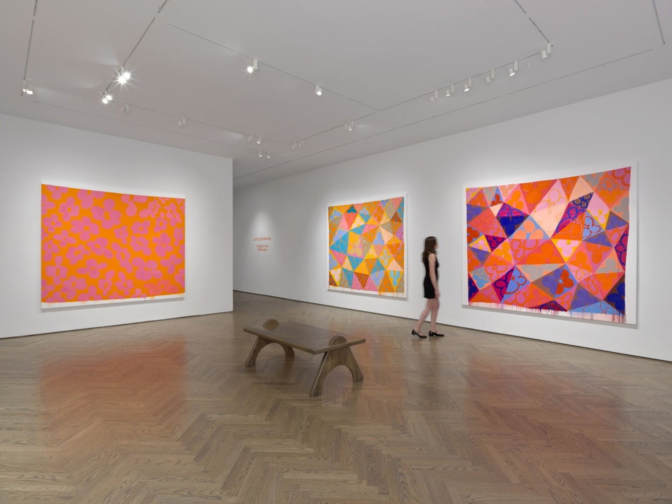 Installation view of Judy Ledgerwood: Twilight in the Wilderness, GRAY New York