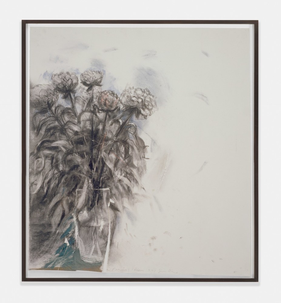Peonies, Summer 1991, 1991
Charcoal, pencil, colored pencil, oil and watercolor on paper
38 &amp;times; 34 1/4 inches
(96.5 &amp;times; 87 cm)