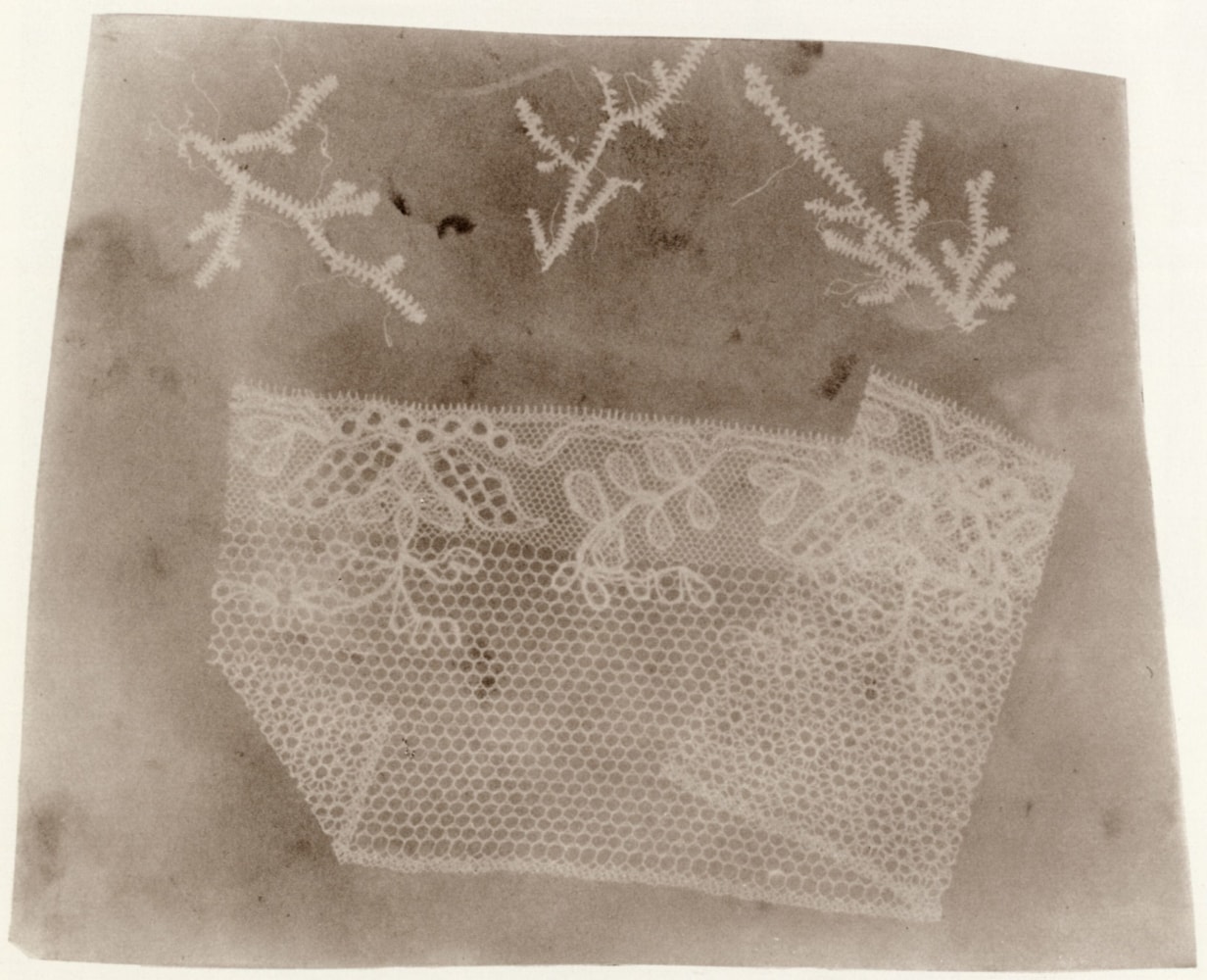 William Henry Fox Talbot,&amp;nbsp;Moss and Lace,&amp;nbsp;1835-39