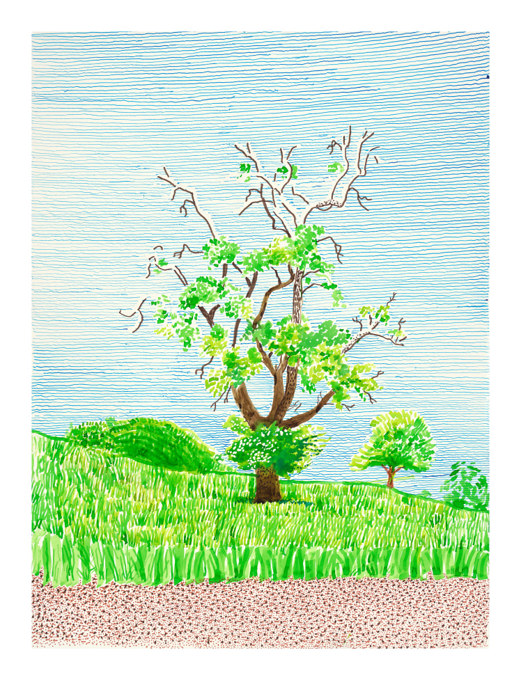 David Hockney, Hawthorn Bush in Front of a Very Old and Dying Pear Tree, 2019