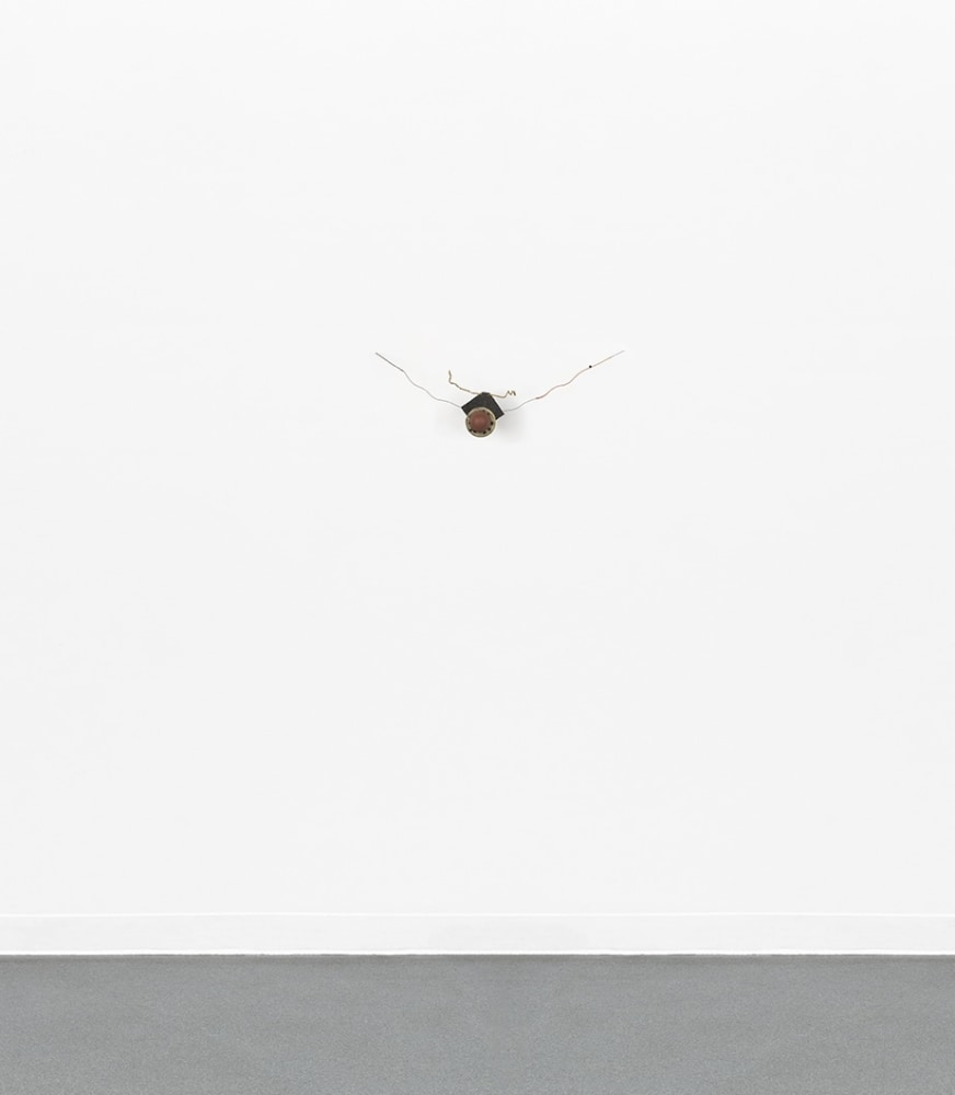 David Hammons
Untitled, 1976&amp;mdash;77
Wire, rope, pipe cleaner, hair, rubber, mesh,
aluminum, sand paper and thumb tack
10 &amp;times; 28 1/2 &amp;times; 6 inches
25.4 &amp;times; 72.4 &amp;times; 15.2 cm