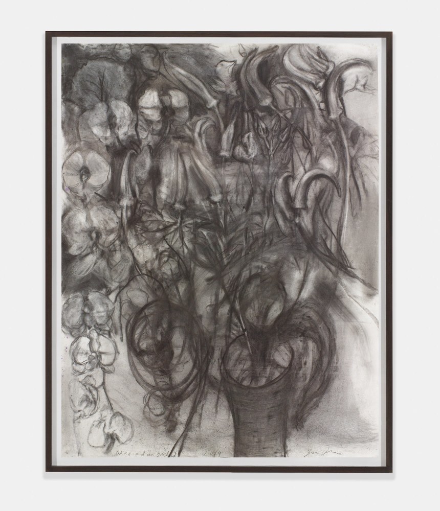 Okra and an Orchid, 2014
Charcoal, pastel, and watercolor on paper
49 &amp;times; 37 1/4 inches
(124.5 &amp;times; 94.6 cm)