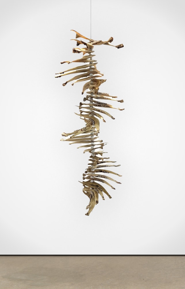 Spirals from the Pile, 2019
Reindeer jaw and metal wire
59 x 23 5/8 x 23 5/8