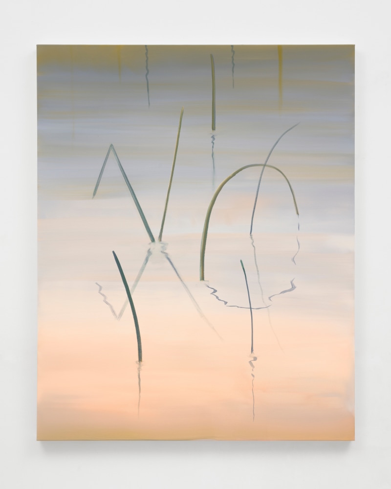 Wanda Koop

Reed - XO, 2024

acrylic on canvas

60 x 48 in (152.4 x 121.9 cm)
