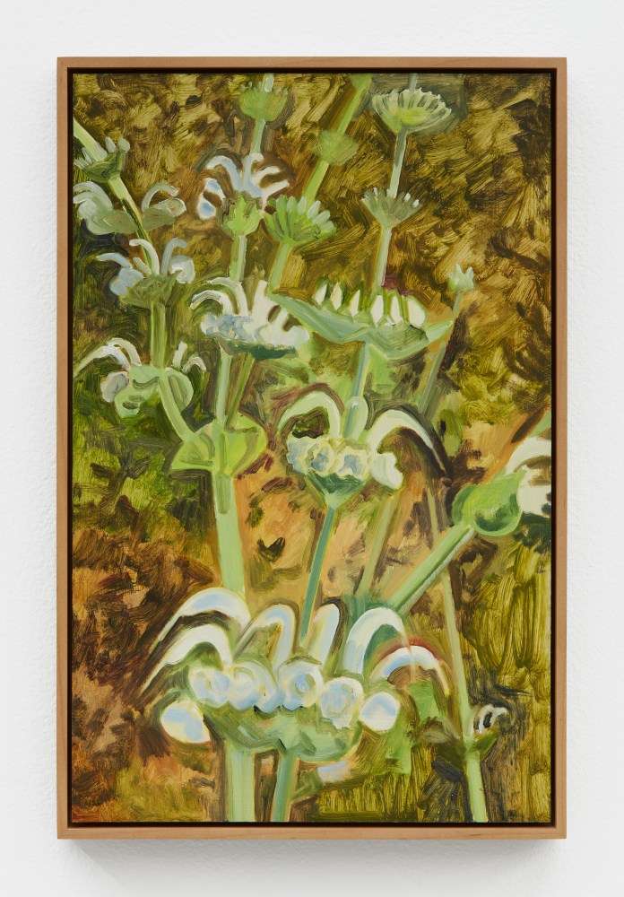 Lois Dodd, Monarda, 2006