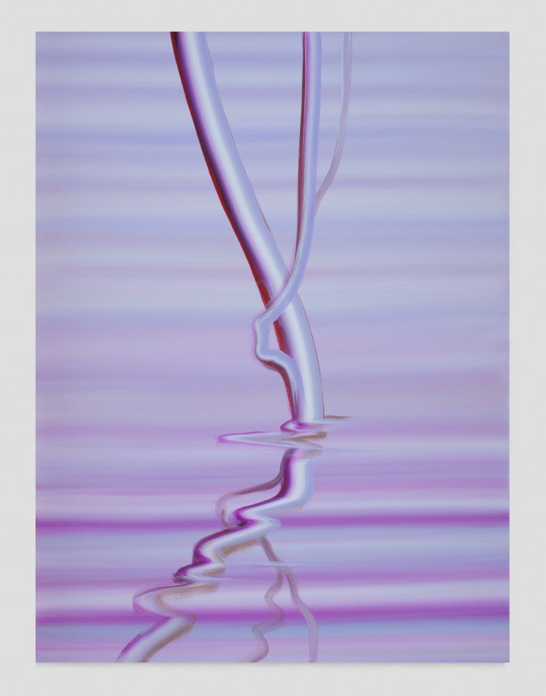 Wanda&amp;nbsp;Koop
Mauve Reflection, 2020
acrylic on canvas
40 x 30 in
WK233
