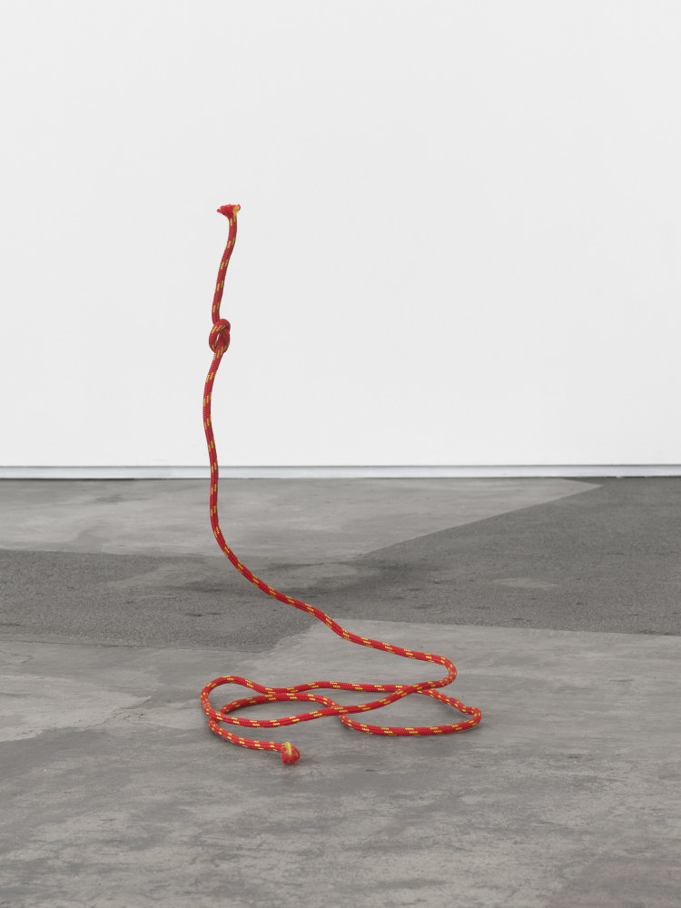 A red and yellow striped rope sculpture that twists on the ground and rises perpendicularly with a knot in the end.