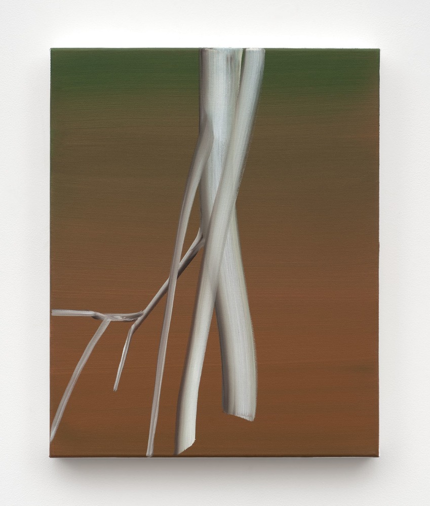Ghost Tree - Deep Olive, Raw Sienna, 2023

acrylic on canvas

20 x 16 in (50.8 x 40.6 cm)